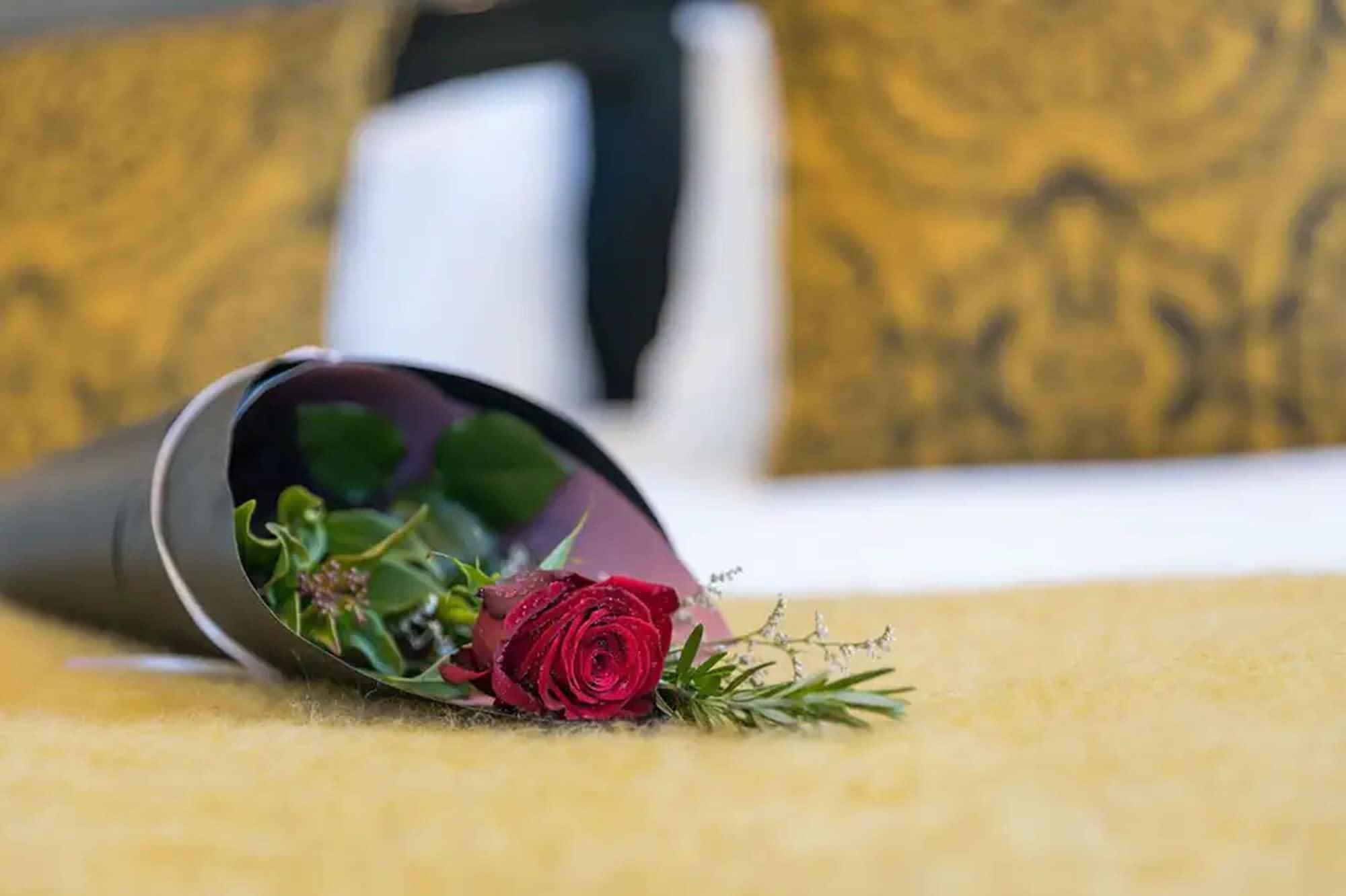 נלסון Palazzo Motor Lodge מראה חיצוני תמונה A rose in a vase